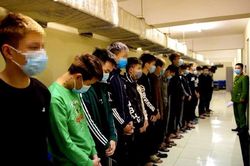 Báo động tình trạng trẻ hóa tội phạm