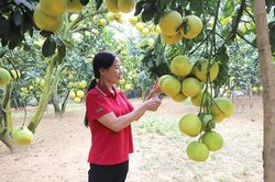 Nâng cao hiệu quả công tác dân vận