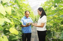 TP. Sông Công: Phấn đấu giá trị sản xuất nông, lâm nghiệp, thủy sản tăng 3%