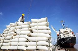 Xuất khẩu gạo có thể mang về hơn 5 tỷ USD trong năm 2024