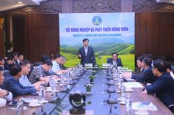 Khắc phục ngay những 'điểm nghẽn' làm chậm tiến độ triển khai Đề án 06 trong ngành Nông nghiệp