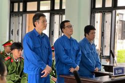 Tuyên án Chủ tịch HĐQT và đồng phạm lừa đảo chiếm đoạt hàng chục tỷ đồng