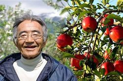 Quả táo thần kỳ của Kimura