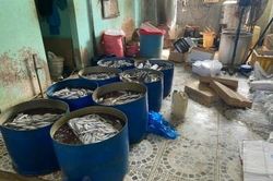 Gia Lai: Phát hiện hơn 1 tấn thịt gà, cá đông lạnh không rõ nguồn gốc xuất xứ