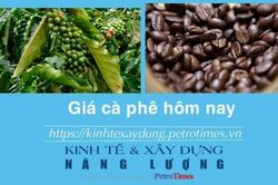 Giá cà phê hôm nay 20/1: Robusta có phiên tăng mạnh