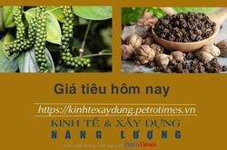 Giá tiêu hôm nay 20/1: Duy trì đà tăng