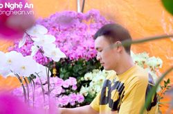 Đã mắt với những chậu lan hồ điệp chơi Tết, giá cao khách vẫn 'xuống tiền'