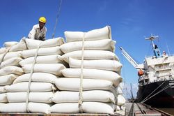 Nửa đầu tháng 1/2024, Việt Nam đã xuất khẩu hơn 194.000 tấn gạo