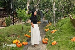 Người vẽ ước mơ thành Khu rừng cổ tích