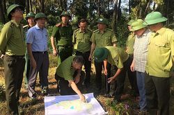 Hà Tĩnh: Chủ động công tác phòng cháy chữa cháy rừng trước, trong và sau Tết Nguyên đán