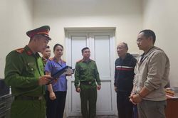 Khởi tố giám đốc công ty nhập lậu sữa từ nước ngoài về Việt Nam