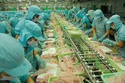 Phân tích thay đổi cấu trúc GDP của Việt Nam từ 2010-2023: Công nghiệp chế biến, chế tạo lớn nhưng chưa mạnh