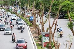 Các biện pháp bảo vệ sức khỏe cộng đồng trước ảnh hưởng của ô nhiễm không khí
