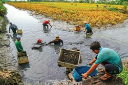 Mùa nước rọt