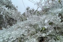Lung linh băng tuyết tại đỉnh cao Phia Oắc- Cao Bằng