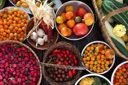 Người phụ nữ chỉ thích trồng cây, làm vườn theo phương pháp cũ và kết quả bất ngờ