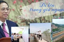 Đi lên trong gió ngược