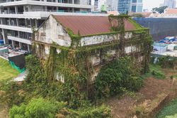 Rêu phong, cỏ dại mọc quanh di tích ụ tàu Ba Son