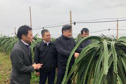 Phòng, chống rét đậm, rét hại cho cây trồng, vật nuôi