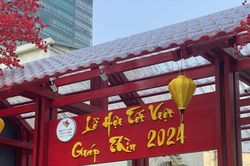 Ngắm trước những góc ảnh 'Không gian nghệ thuật sắp đặt sắc màu ngày Tết'