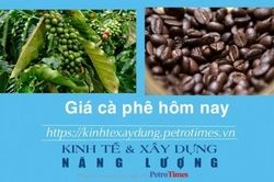 Giá cà phê hôm nay 23/1: Trong nước tiếp tục tăng