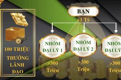 Bộ Công Thương cảnh báo Công ty Trí tuệ tự nhiên kinh doanh đa cấp không phép