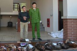Nghệ An: Bắt đối tượng mua bán trái phép 1,2 tạ động vật hoang dã, quý hiếm