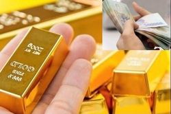 Giá vàng hôm nay 23/1: Vàng SJC trong nước quay đầu giảm mạnh