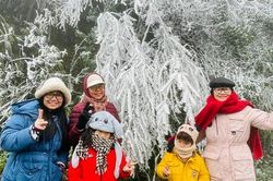 Cùng chiêm ngưỡng cánh rừng băng giá trắng xóa tuyệt đẹp ở đỉnh Mẫu Sơn