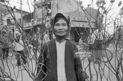 Loạt ảnh gây thương nhớ về Tết Nguyên đán Việt Nam 50 năm trước