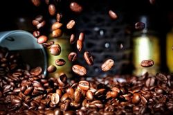 Giá cà phê hôm nay 24/1/2024: Giá cà phê robusta thế giới tăng 50%/năm, các nhà mua hàng thế giới đổ về Việt Nam?