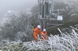 Băng giá phủ trắng đường dây điện Mẫu Sơn, lo nguy cơ sự cố
