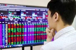 NĐT giao dịch cổ phiếu nhiều nhất tại công ty chứng khoán nào năm 2023?