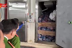 'Rùng mình' trước 40 tấn thịt lợn nhiễm dịch bệnh nguy hiểm nằm trong kho lạnh ở ngoại ô