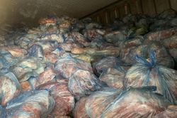 Hà Nội: Mua gom 40 tấn lợn bệnh giá vài nghìn cho mỗi kg, chuẩn bị cung ứng ra thị trường