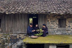 Bình yên làng đá cổ Nà Vị