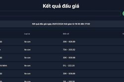 Đấu giá biển số chiều 26/1: Duy nhất 1 biển của Hà Nội giá cao hơn 100 triệu