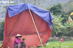 Dự báo rét đậm, rét hại có khả năng kéo dài đến hết hôm nay, ngày mai (27/1) nhiệt độ tăng dần