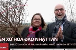 Đại sứ Canada ghé xứ hoa Đào Nhật Tân, hào hứng đón Tết Việt