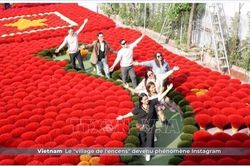 Làng hương Quảng Phú Cầu đa màu sắc trên truyền thông Bỉ