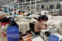Yên Khánh: Sôi nổi khí thế sản xuất đầu năm