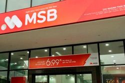 Trích lập dự phòng rủi ro, lãi trước thuế quý IV/2023 của Ngân hàng Hàng Hải Việt Nam (MSB) giảm 37%