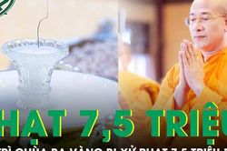 Xử phạt trụ trì chùa Ba Vàng liên quan vụ 'xá lợi tóc Phật'