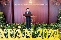 Đại sứ quán Việt Nam tại Brunei tổ chức chương trình Xuân Quê hương 2024
