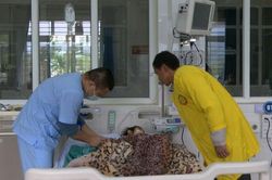 Phát hiện 5 trẻ mắc viêm não virus bất thường