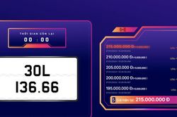 Đấu giá biển số chiều 27/1: Biển 30L-136.66 trúng giá cao nhất 215 triệu đồng