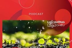 Mồ hôi cha tưới những mầm cây