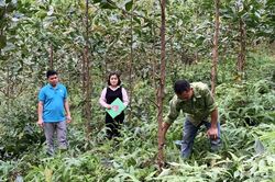 Hỗ trợ người hoàn lương vay vốn ưu đãi phát triển kinh tế