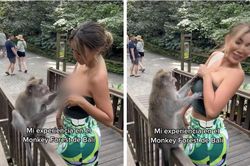 Nỗi ác mộng của du khách bị khỉ kéo tụt áo, xé tan hộ chiếu ngay tại khu du lịch