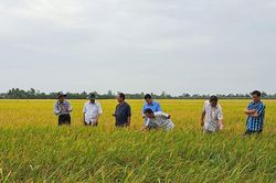 Đẩy mạnh phát triển khoa học và công nghệ phục vụ sự nghiệp công nghiệp hóa, hiện đại hóa